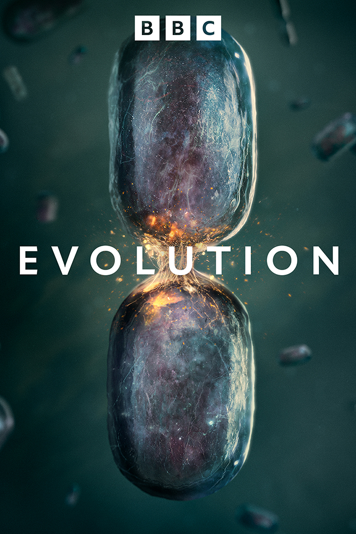 Evolution