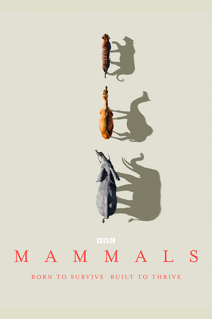 Mammals