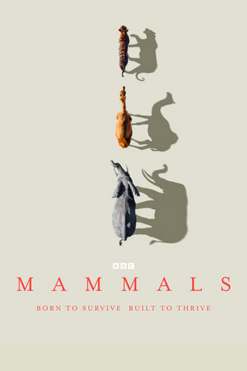 Mammals