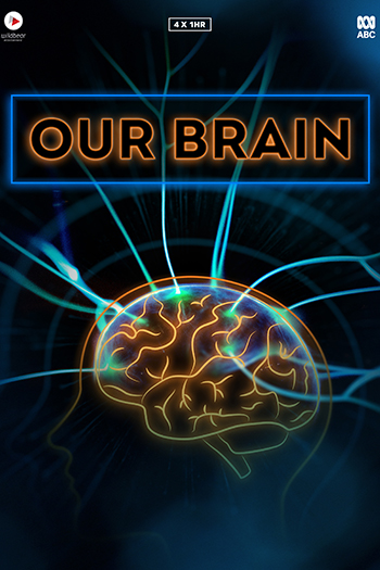 Our Brain