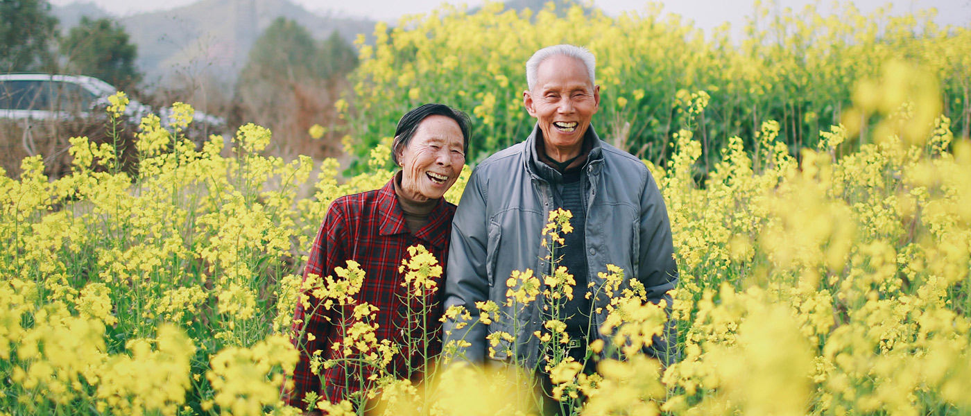 A Beginner’s Guide to Longevity and Wellness