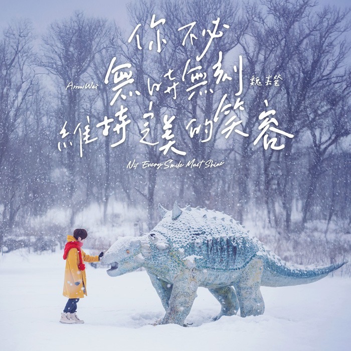 你不必无时无刻维持完美的笑容 Not Every Smile Must Shine