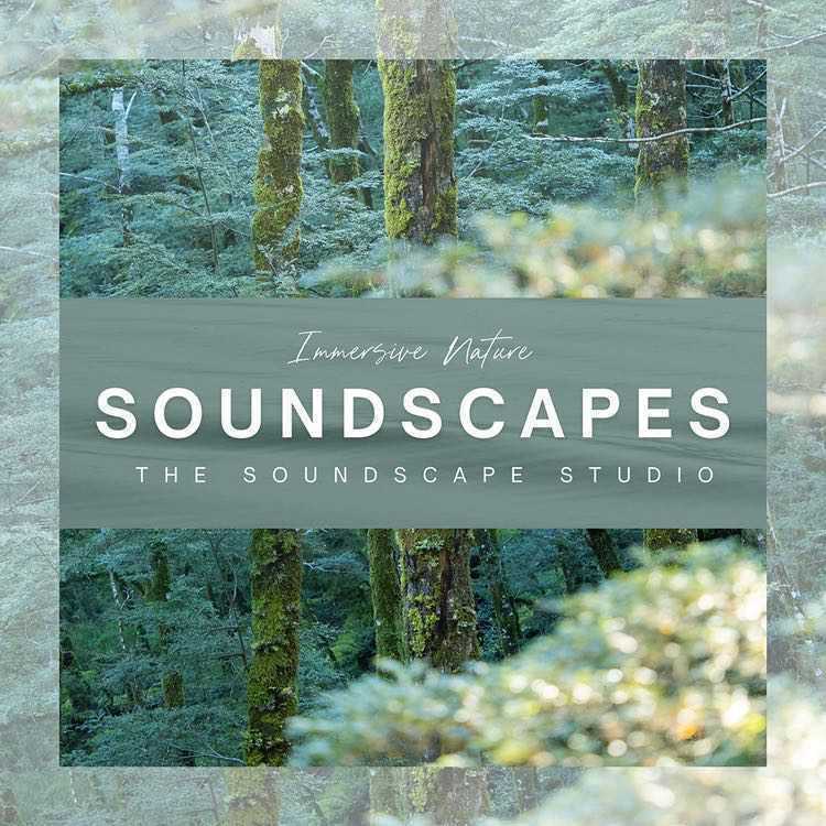 Soundscapes – Immersive Nature