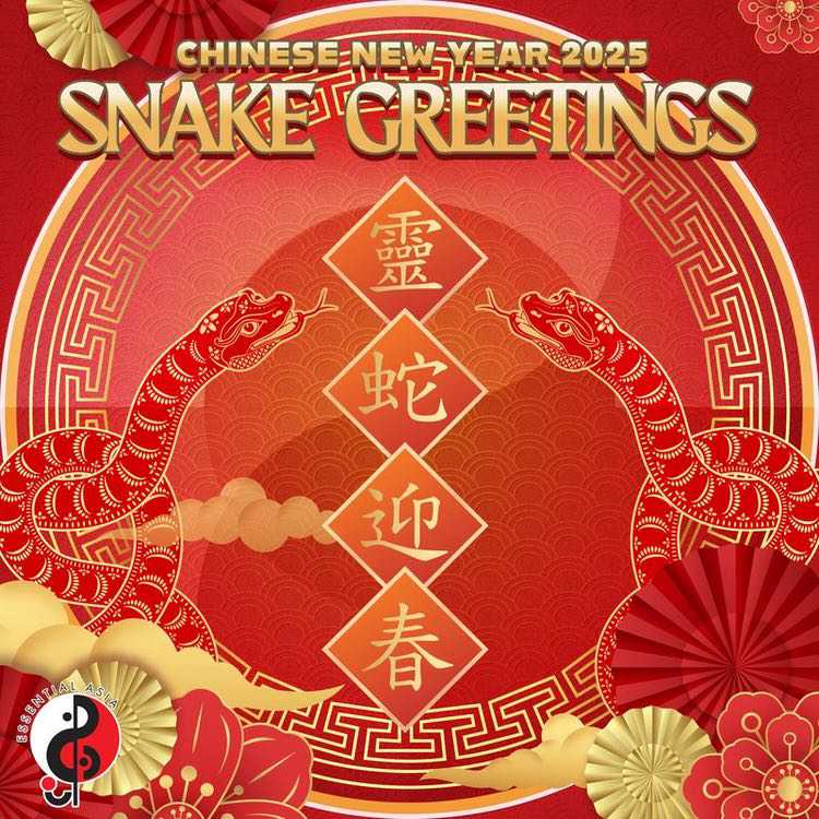 灵蛇迎春 Chinese New Year 2025 Greetings