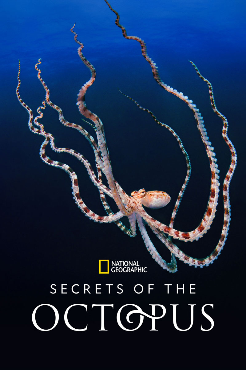 Secrets of the Octopus