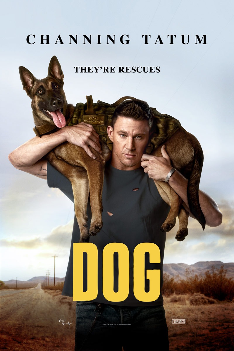 Dog