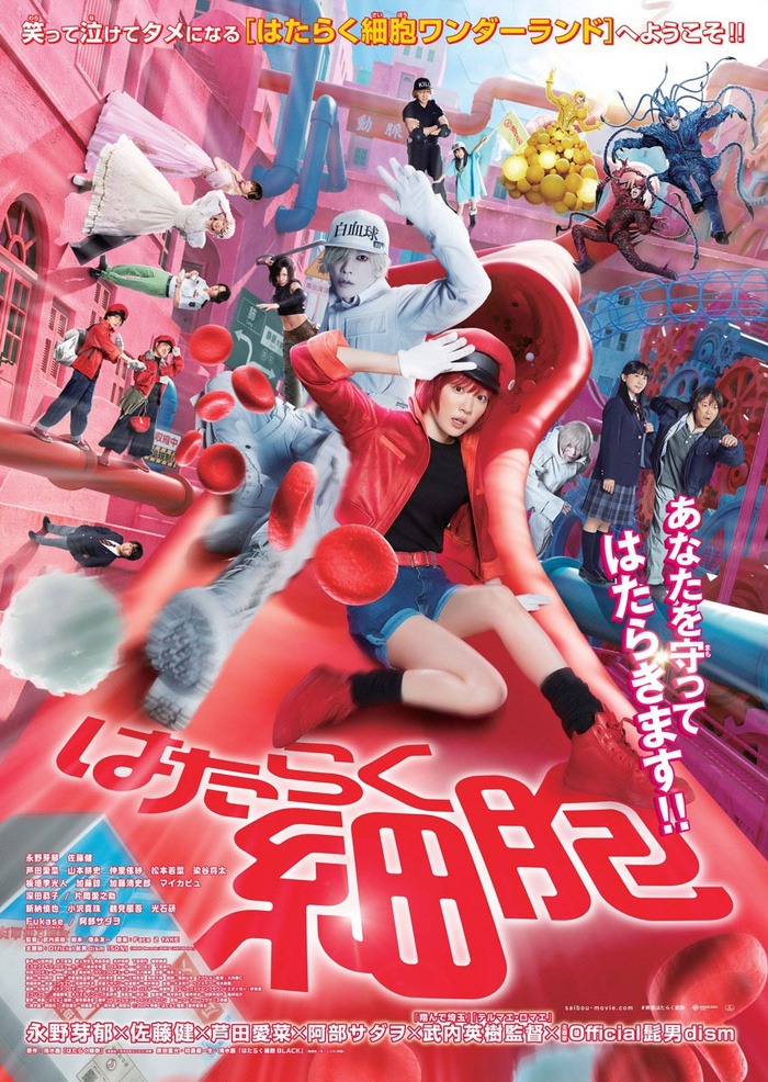 Cells at Work!