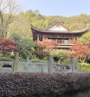18 imperial tree tpy hangzhou silverkris