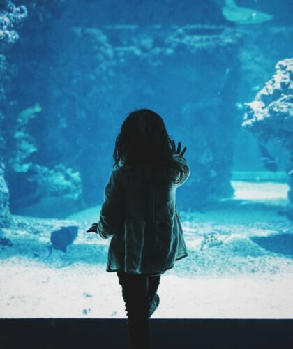 oceanariums aquariums in asia silverkris