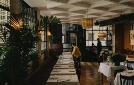 clam bar sydney city guide silverkris