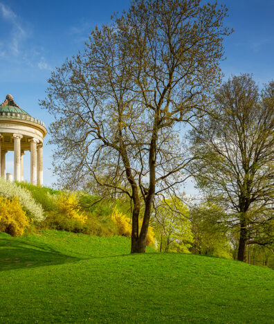 Englischer Garten