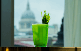 Lyaness Silverkris London City guide