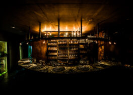 Bar Nayuta osaka city guide silverkris