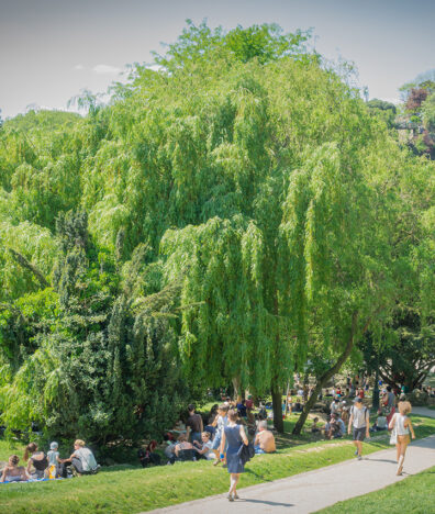 Parc des Buttes Chaumont (Photo: frlegros / Shutterstock.com)
