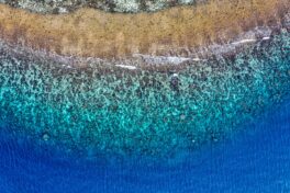 Pulau Seribu Photo by Tom Fisk