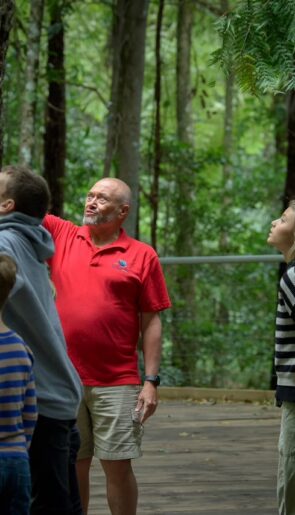 Blue Mountains tour by Scenic World