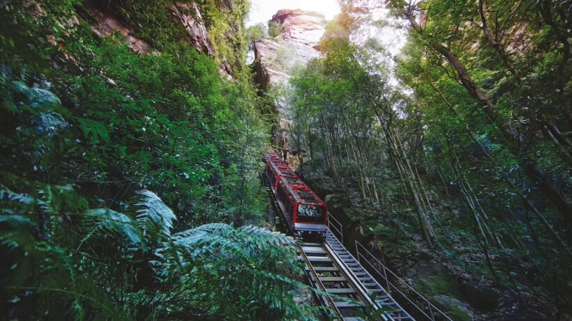 Visitors can explore the Blue Mountains from above and below via Scenic World's railway, cable car and elevated rainforest boardwalk