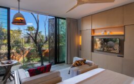 Wildlife-Retreat-Taronga_Animal-view-room-Sydney-City-Guide-Silverkris