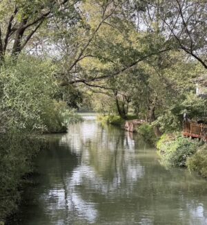 xixi wetland tpy hangzhou silverkris