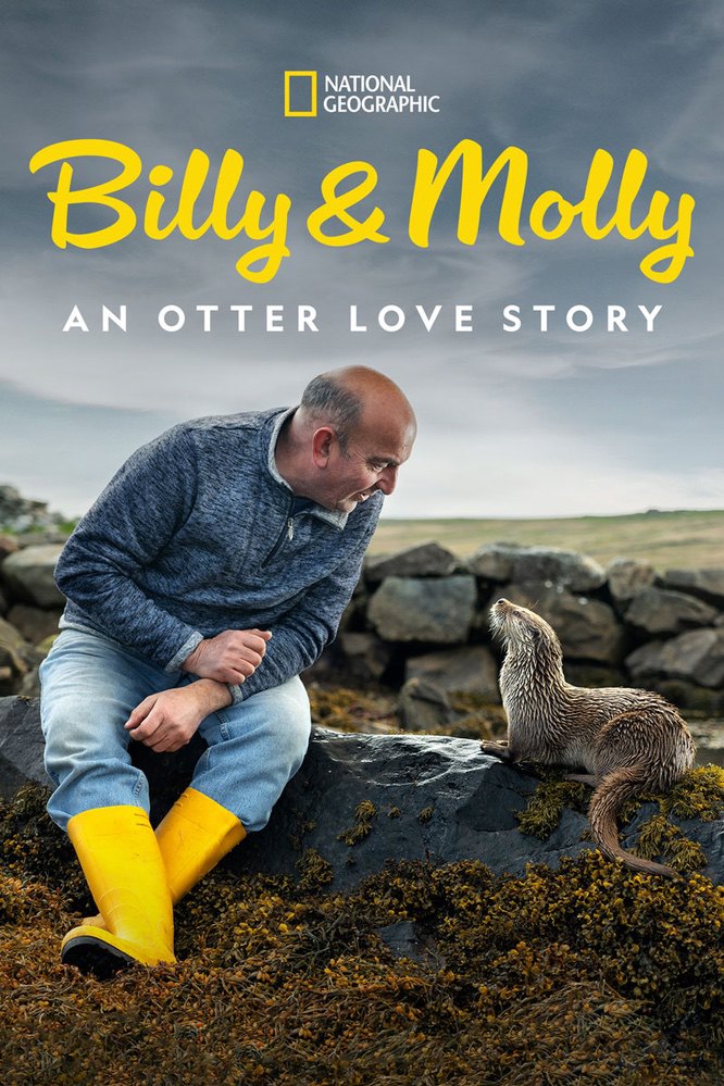 Billy & Molly: An Otter Love Story