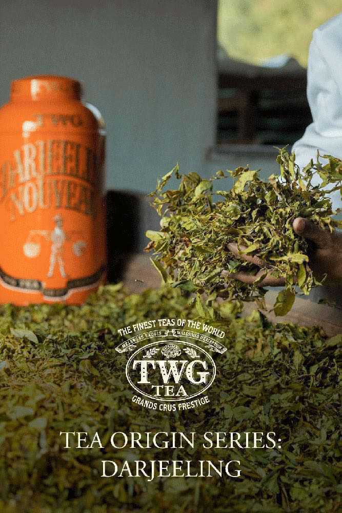 TWG Tea Origin Stories