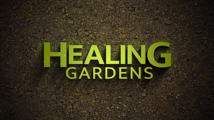 Healing Gardens: Exploring Nature's Natural Medicine