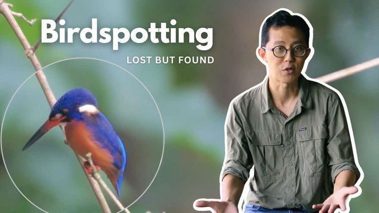 Lost But Found S02