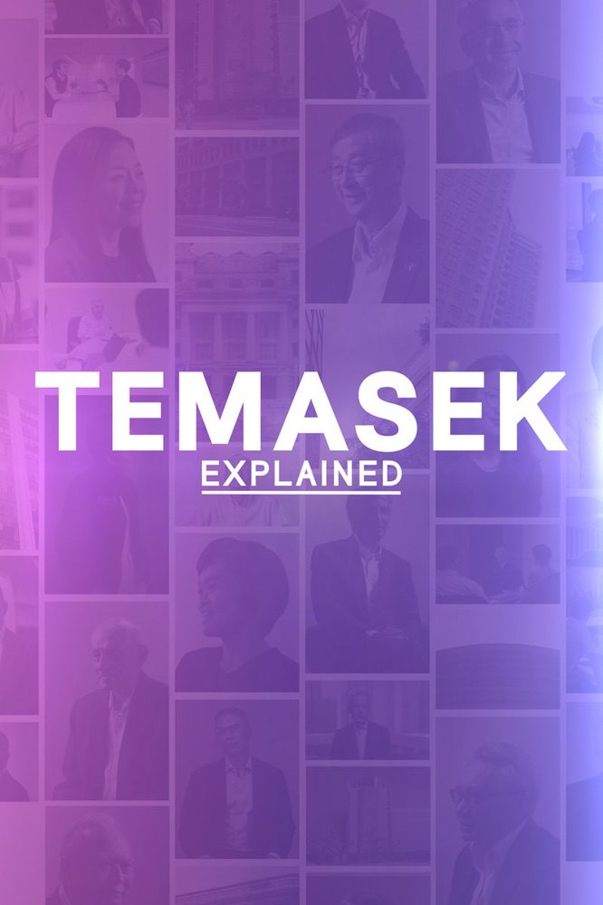 Temasek Explained