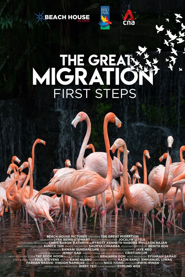 The Great Migration