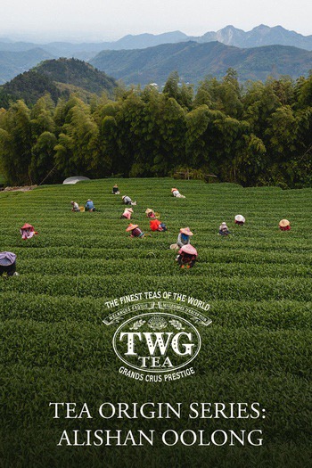 TWG Tea Series: Above the Clouds of Alishan