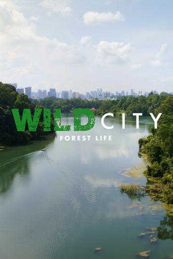Wild City: Forest Life