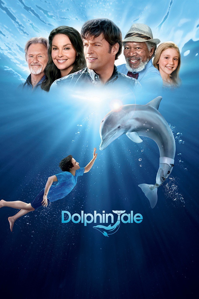 Dolphin Tale | KrisWorld