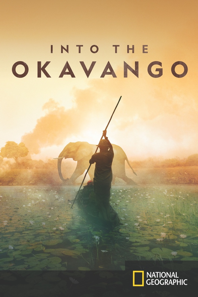 Into the Okavango