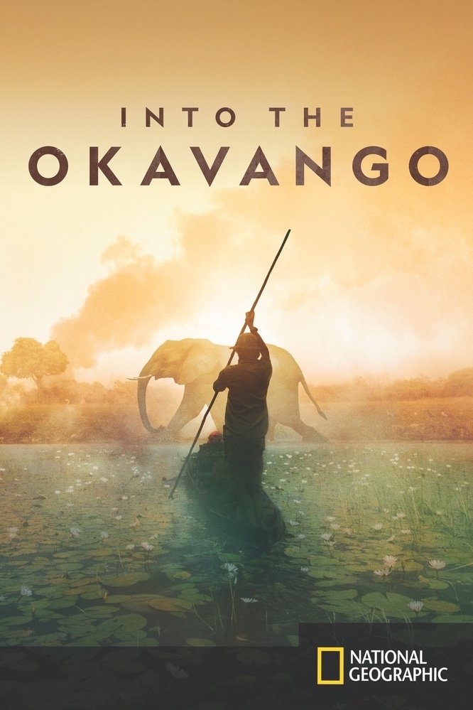 Into the Okavango