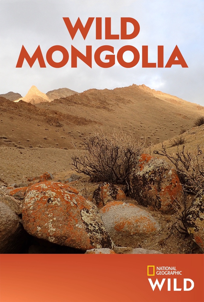 Wild Mongolia