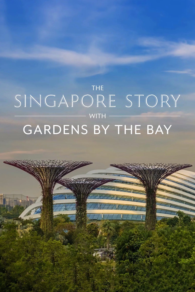The Singapore Story