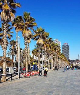 Passeig-Marítim-Allik-Barcelona