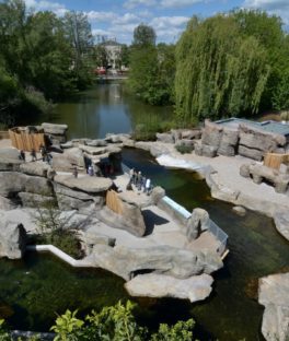 Frankfurt Zoo city guide silverkris