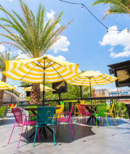 Present Company Houston City Guide