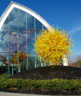 Chihuly Garden and Glass seattle city guide SilverKris